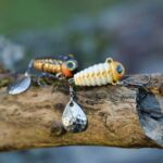 Spinmad spinnertail CRAZY BUG 4gr - imagine 19