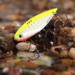Spinmad cicada KING 7.5cm, 18gr - imagine 11