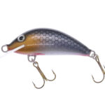 Gloog Hektor 40N, 4cm, 4.5gr (Sinking), RS (Roach Silver)