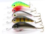 Gloog Parys 50N, 5cm, 5gr (Floating), SP (Srebrna Plotka) - imagine 9