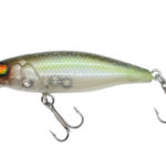 Damiki ERA-55 5.5CM, 4.1Gr (Sinking), 311H (Natural List)